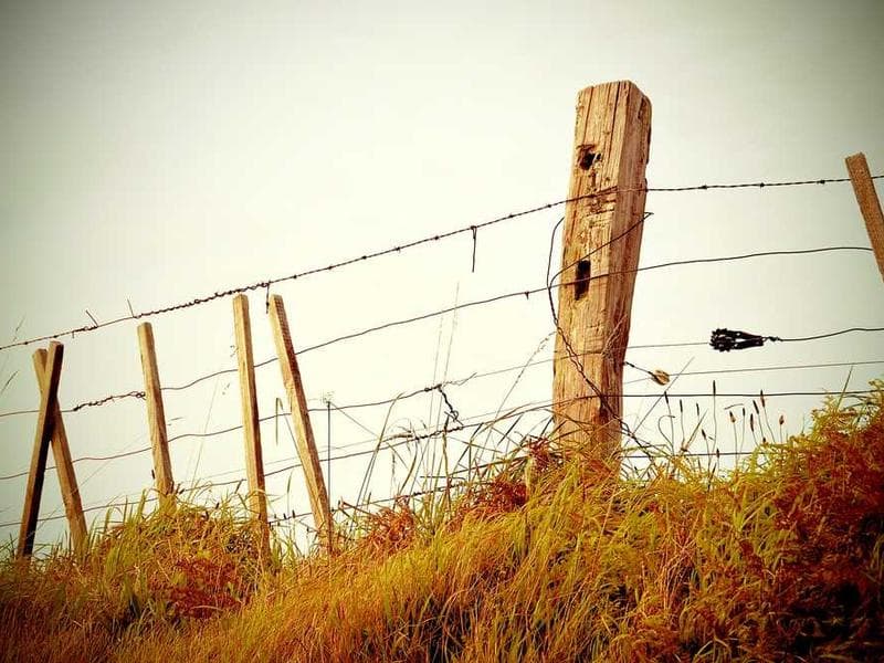 DirectOffices Partners with Local Cafes to Enhance Work Experience